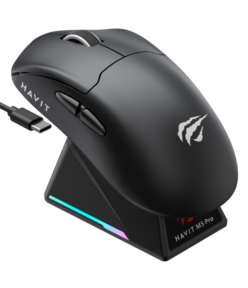 Havit Gamenote M5 Pro Superlight PAW3950 Wireless Gaming Mouse - Ekranlı 8Khz 30.00 DPI Siyah